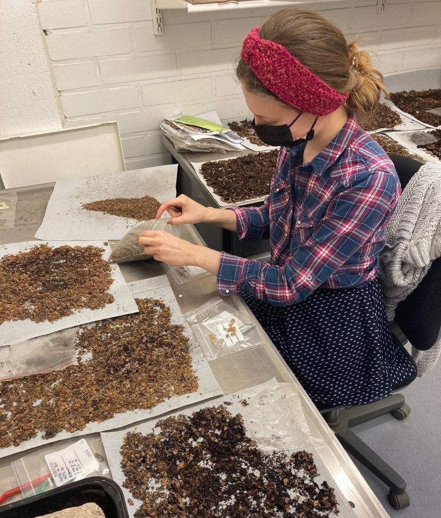 Nainen työskentelee pöydän ääressä. Pöytätasot ovat täynnä erilaisia suomunäytteitä.