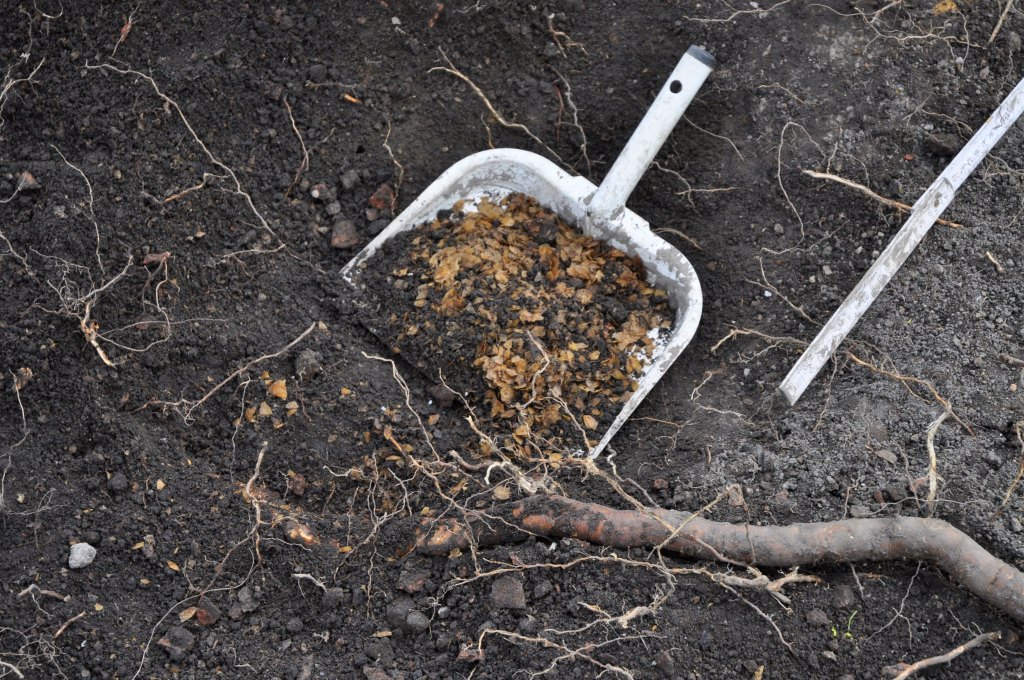 Maakuopassa on rikkalapio, joka on täynnä multaisia kalansuomuja.